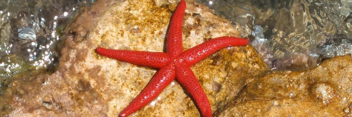 Maite Sánchez Moreno banner