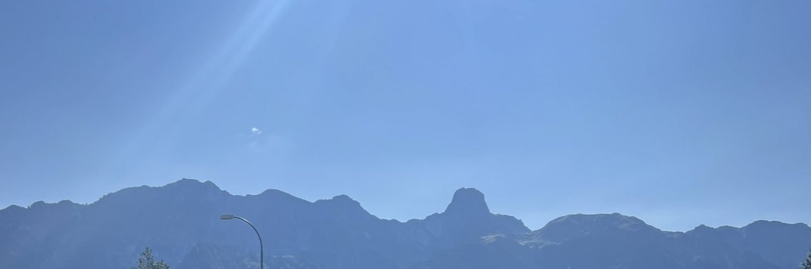 röschu banner