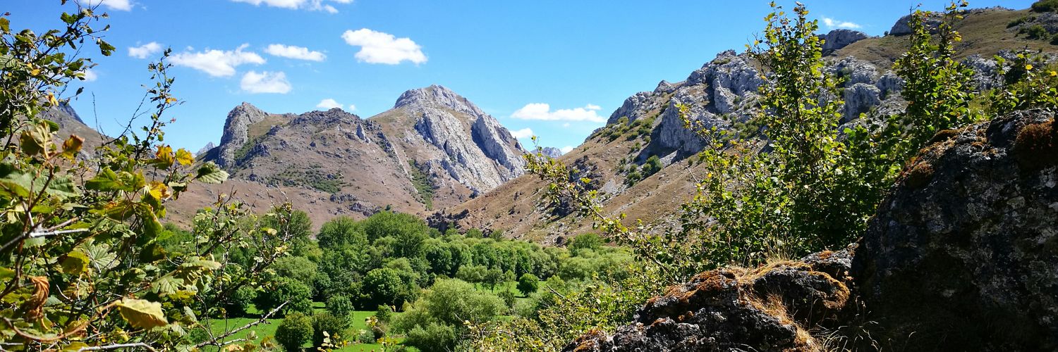 Maite Goicoechea banner