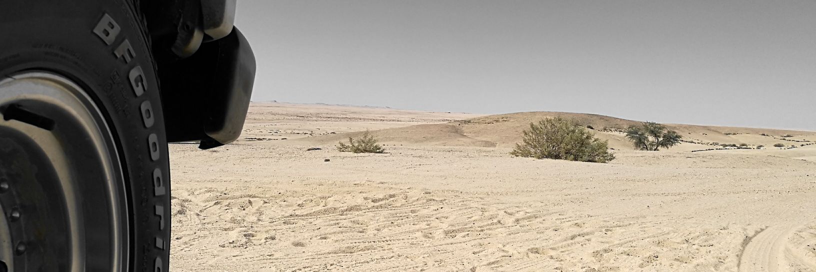 Michael Reichelt banner