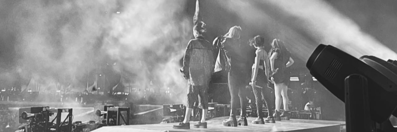 박봄 Master Troll banner