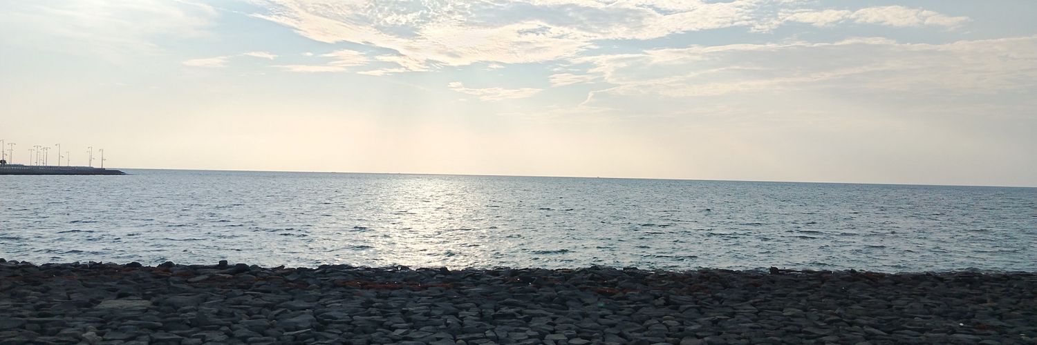 OmarEssa13's profile banner image