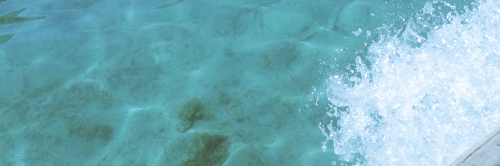 elinadell's profile banner image