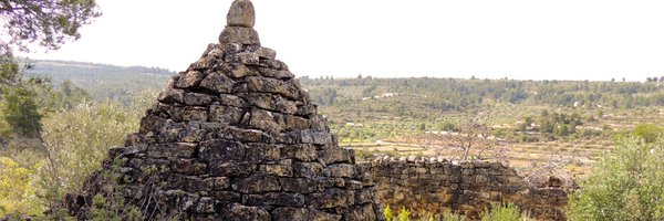CIPSTorrebesses Profile Banner