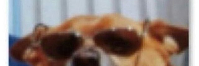 DavidSmolar's profile banner image