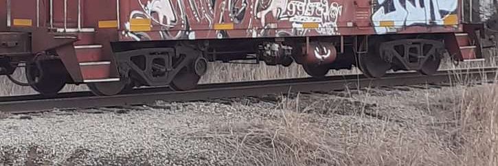 unKleDonkey951 banner