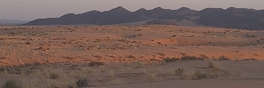عـ الشمري banner