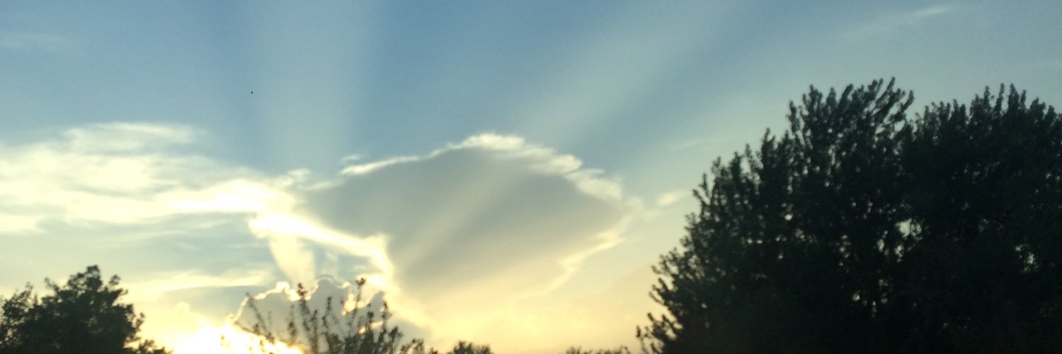 Caitlyn Kiehn banner