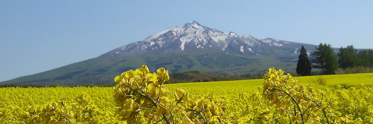 ぴーたろう banner