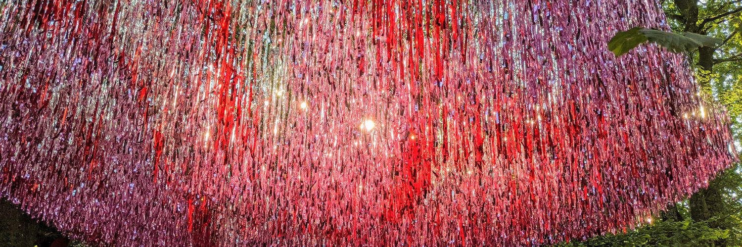 Cassie Westwood banner