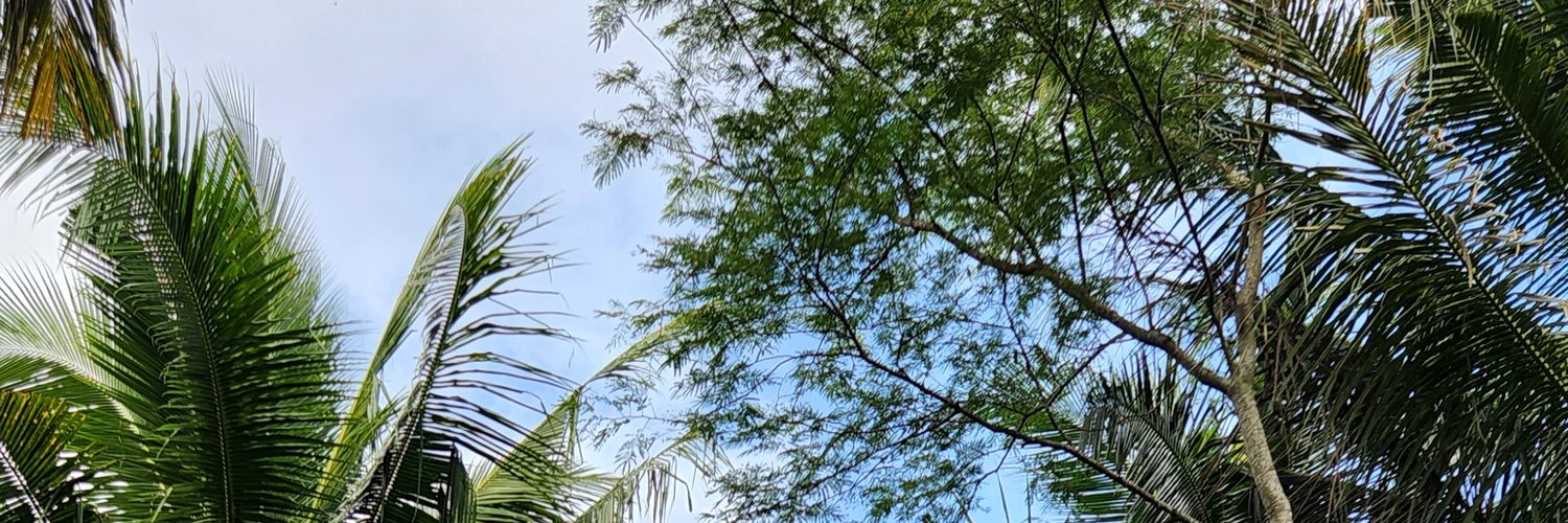 ffferrr2's profile banner image