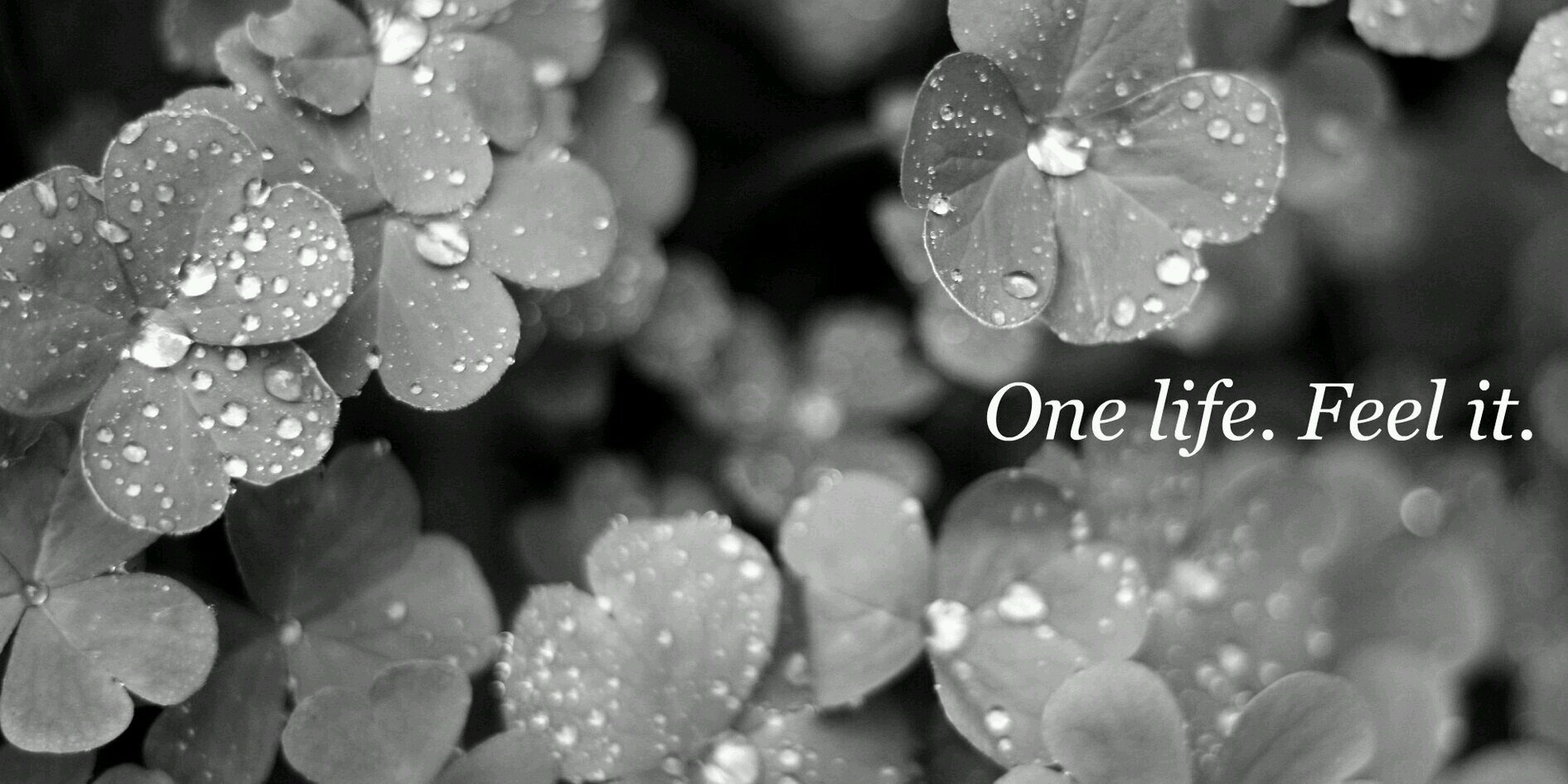 fer_ravi's profile banner image