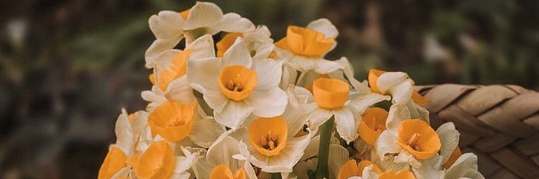 🫧 مامانِ دوجان🫧 banner