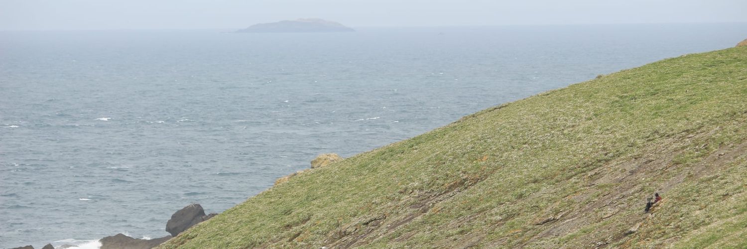 HannahRGeegee's profile banner image