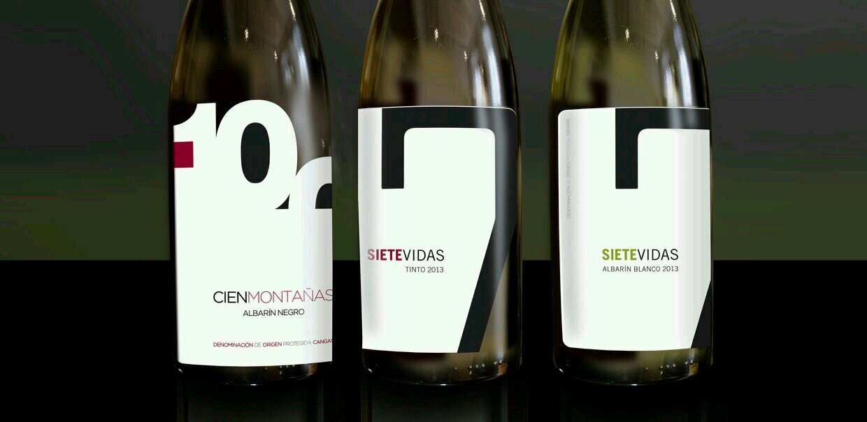 Bodega Vidas banner