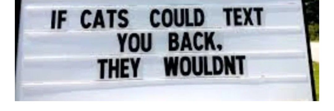 debbie🌻🇺🇦💙🏳️‍🌈 banner