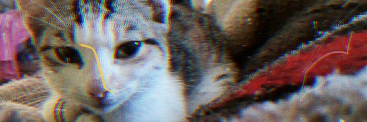 Lially_C's profile banner image