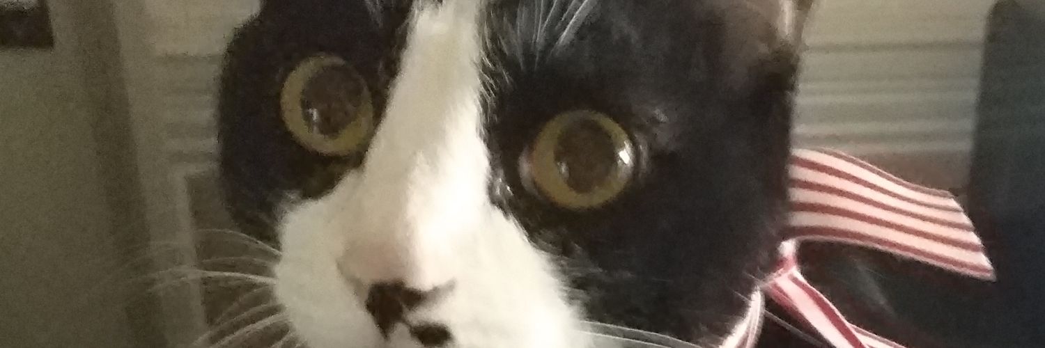 moritanet's profile banner image