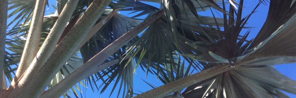 AdCommon1 Profile Banner