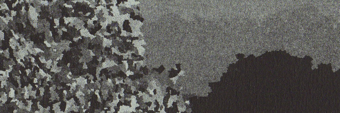 Thomas Bouville banner