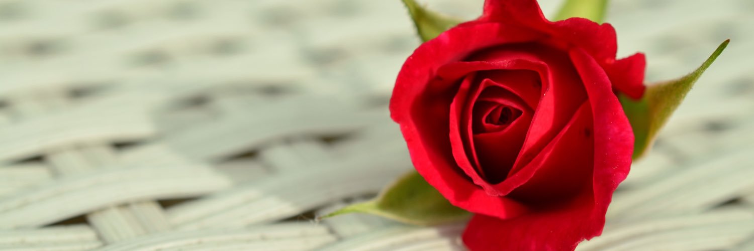 Pretty_rose90's profile banner image