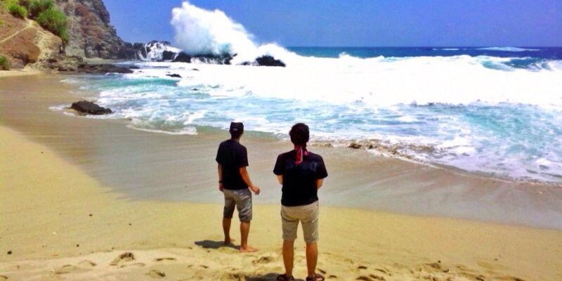 pedrocazzanova's profile banner image
