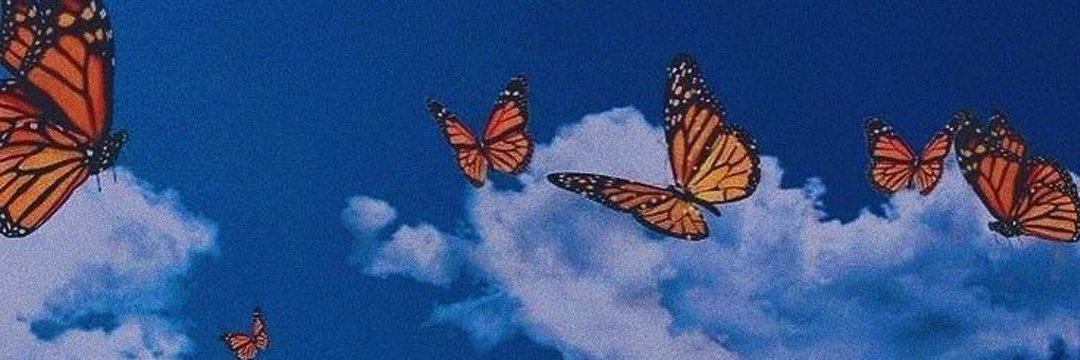 Samara_steles's profile banner image