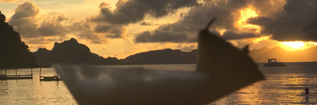 ciidembayrak's profile banner image