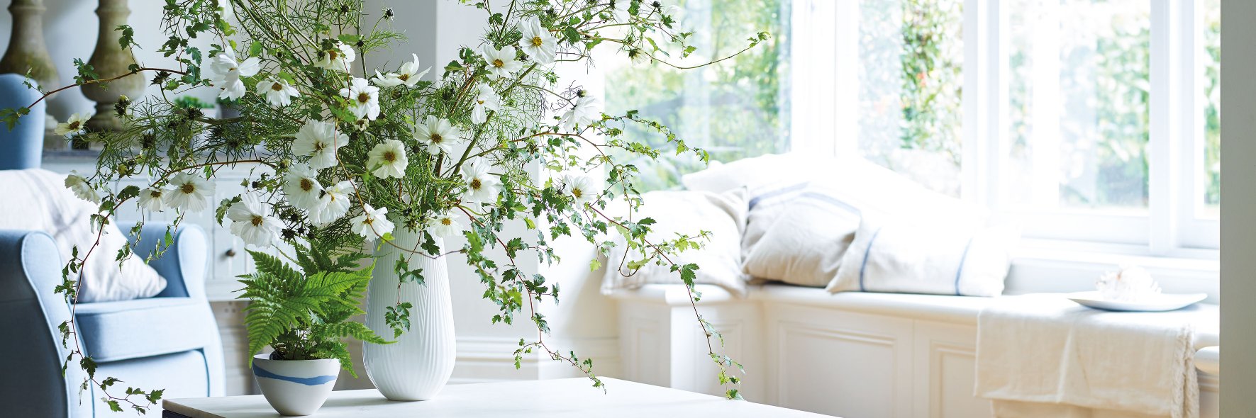 Wedgwood's profile banner image