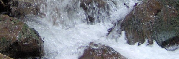 daviding Profile Banner