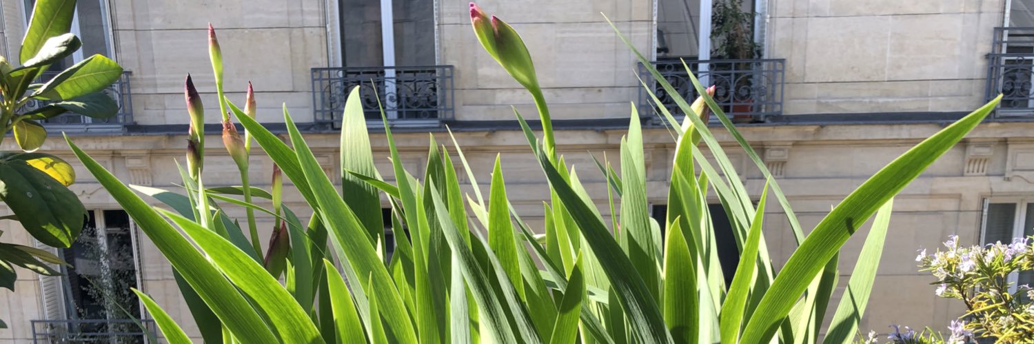 Alexandre Debouté banner