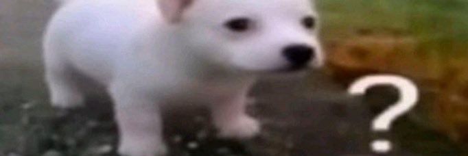 PPeachSan's profile banner image