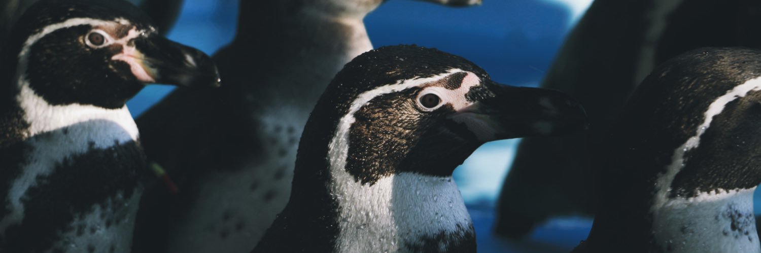 マネークリッパー吉沢 banner