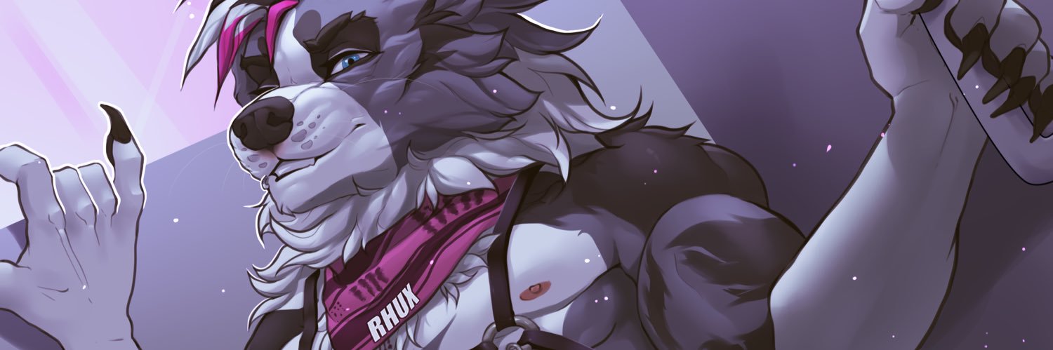 Rhux Collie banner