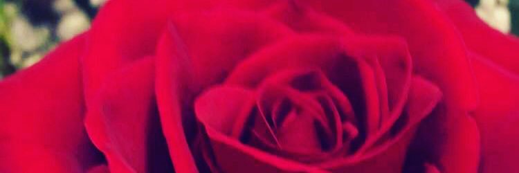 zo_zoeyyyy's profile banner image