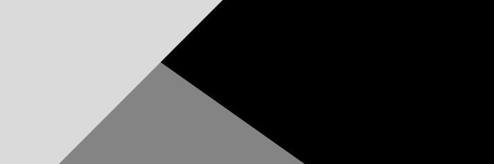 Nazveen Rasheed banner