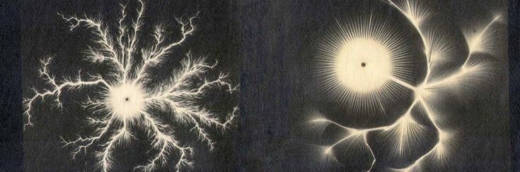 oshkicat's profile banner image