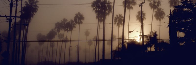 grtyeshw's profile banner image
