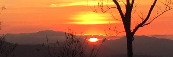 try2explainthis Profile Banner