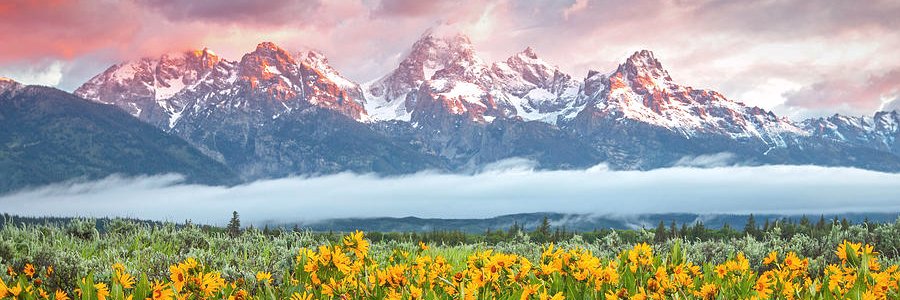 Courtney Byrd banner