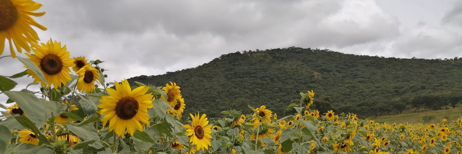 munyareezus's profile banner image