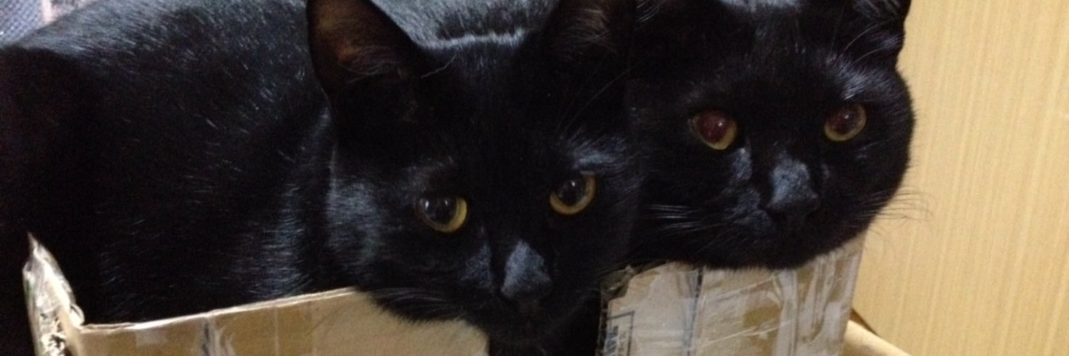 okunsoo's profile banner image