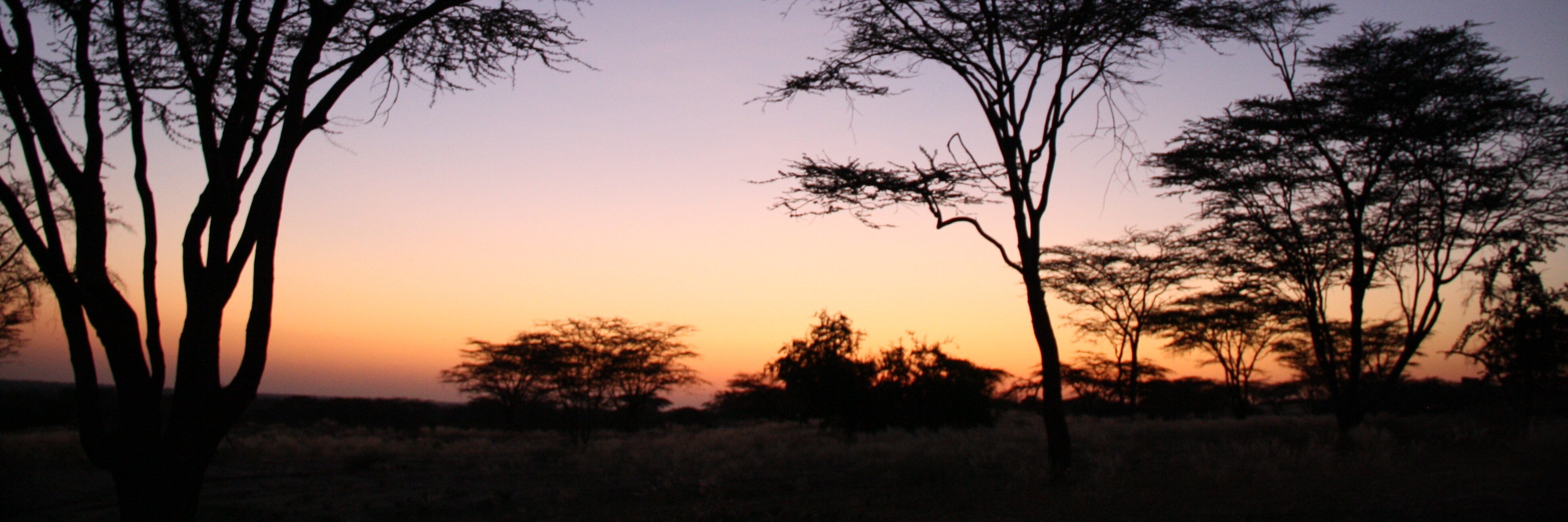 Ruth Bonapace banner