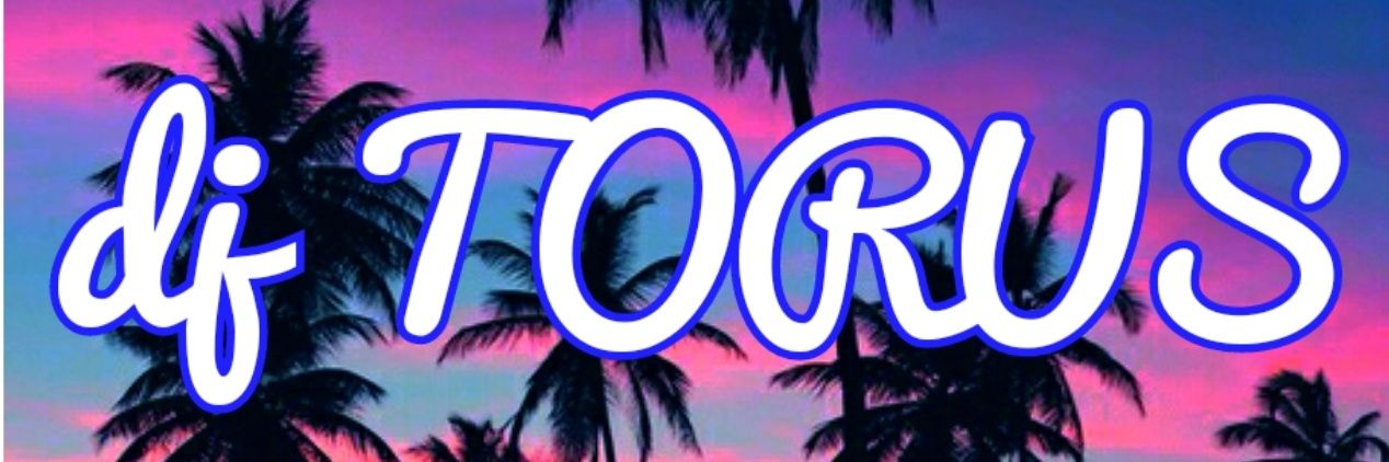 iam_TORUS's profile banner image