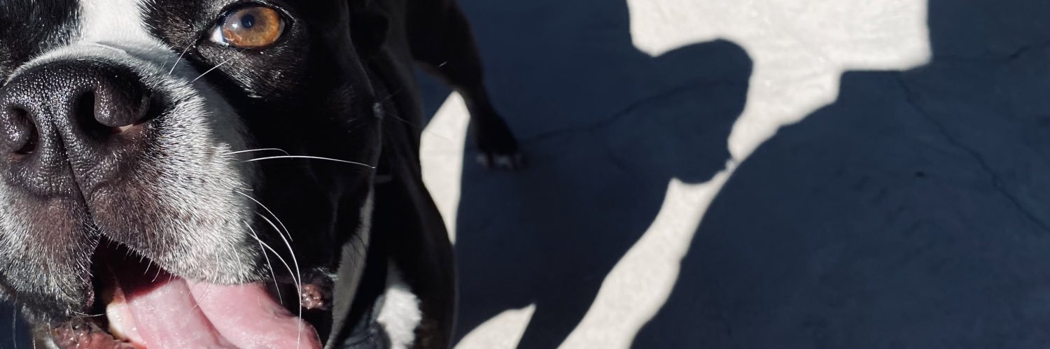 harlethv's profile banner image