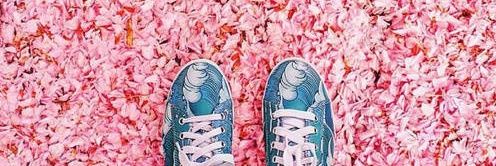 JY_Dong's profile banner image