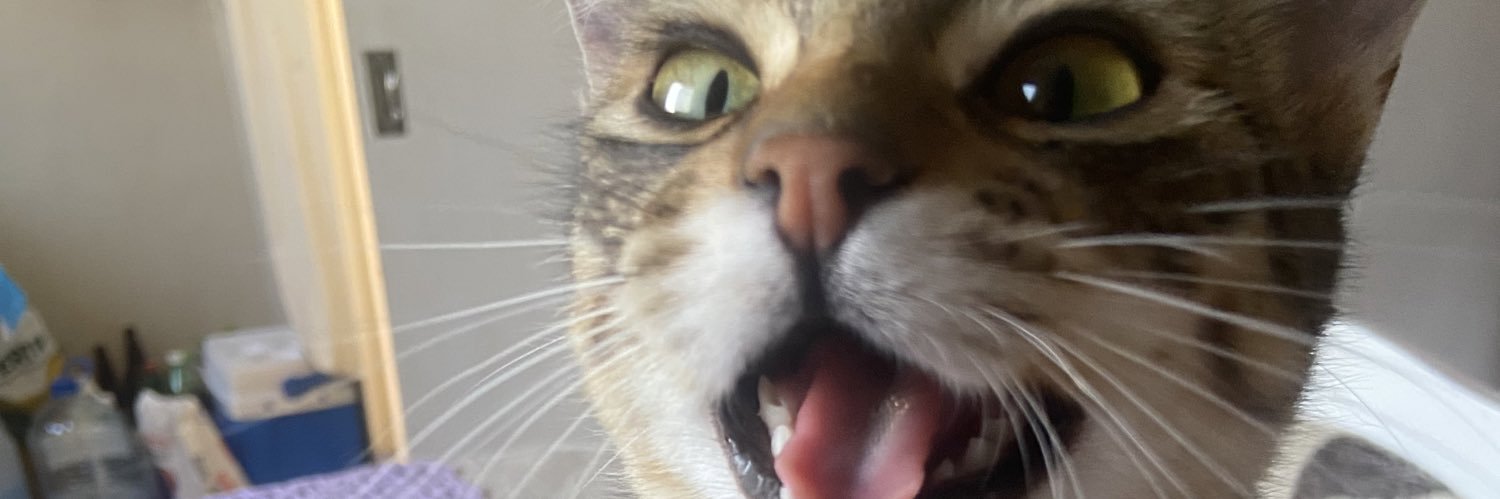 eveelyncz's profile banner image