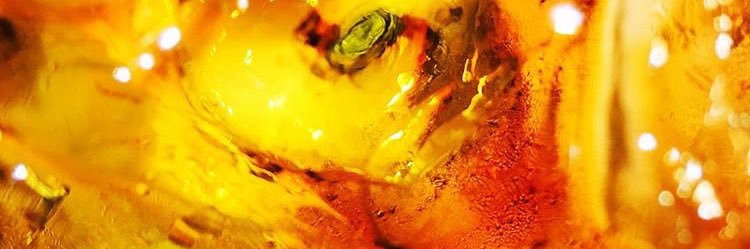 goldbox_s's profile banner image