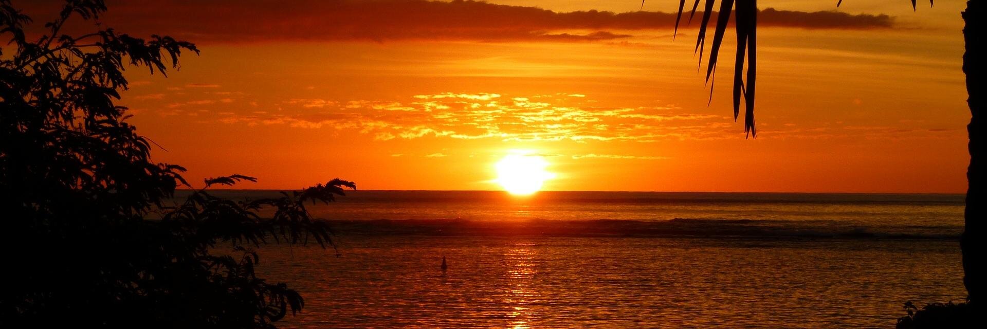 Lars Hoffmann banner