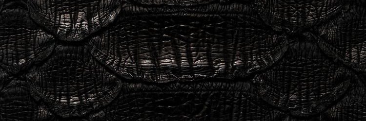 dprniragi's profile banner image